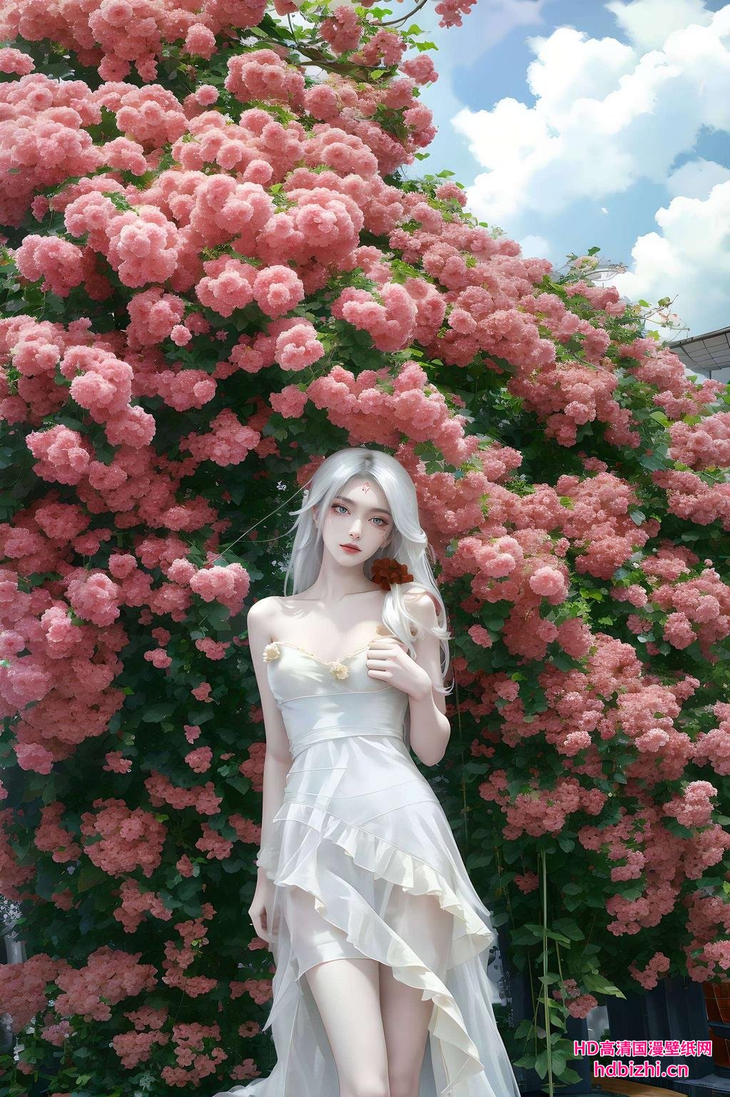 每一帧都是视觉盛宴抖音小白们